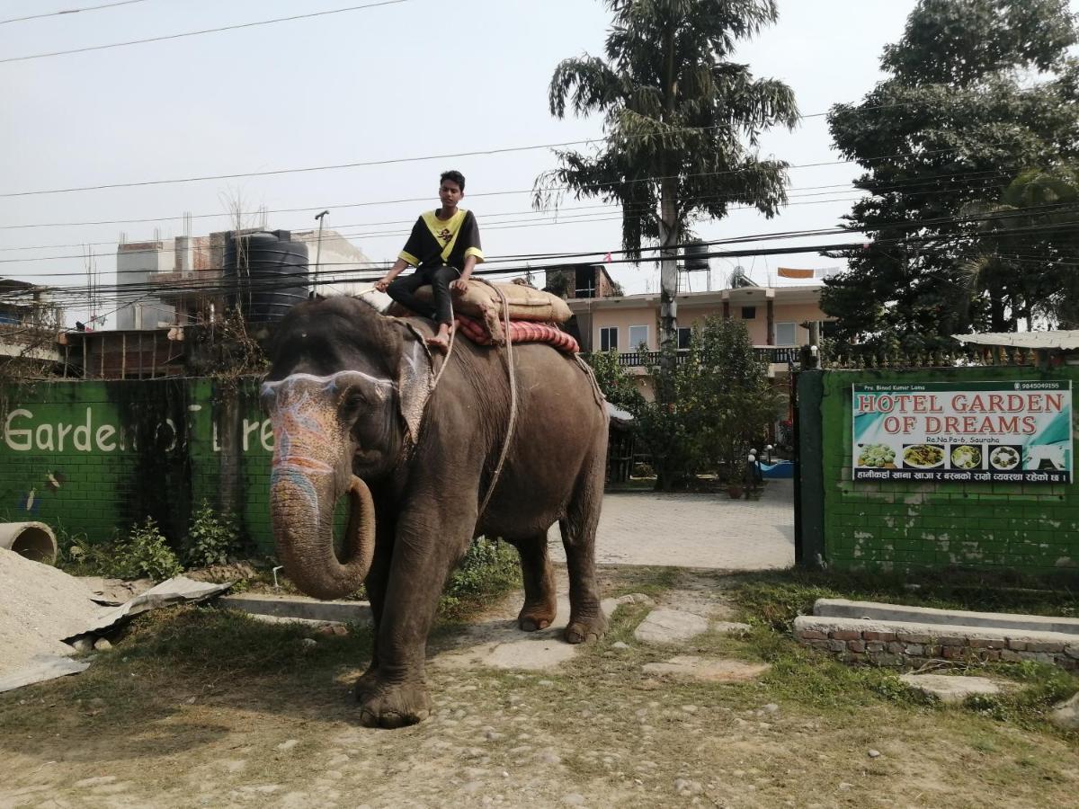 Hotel Garden Of Dreams Sauraha Ngoại thất bức ảnh