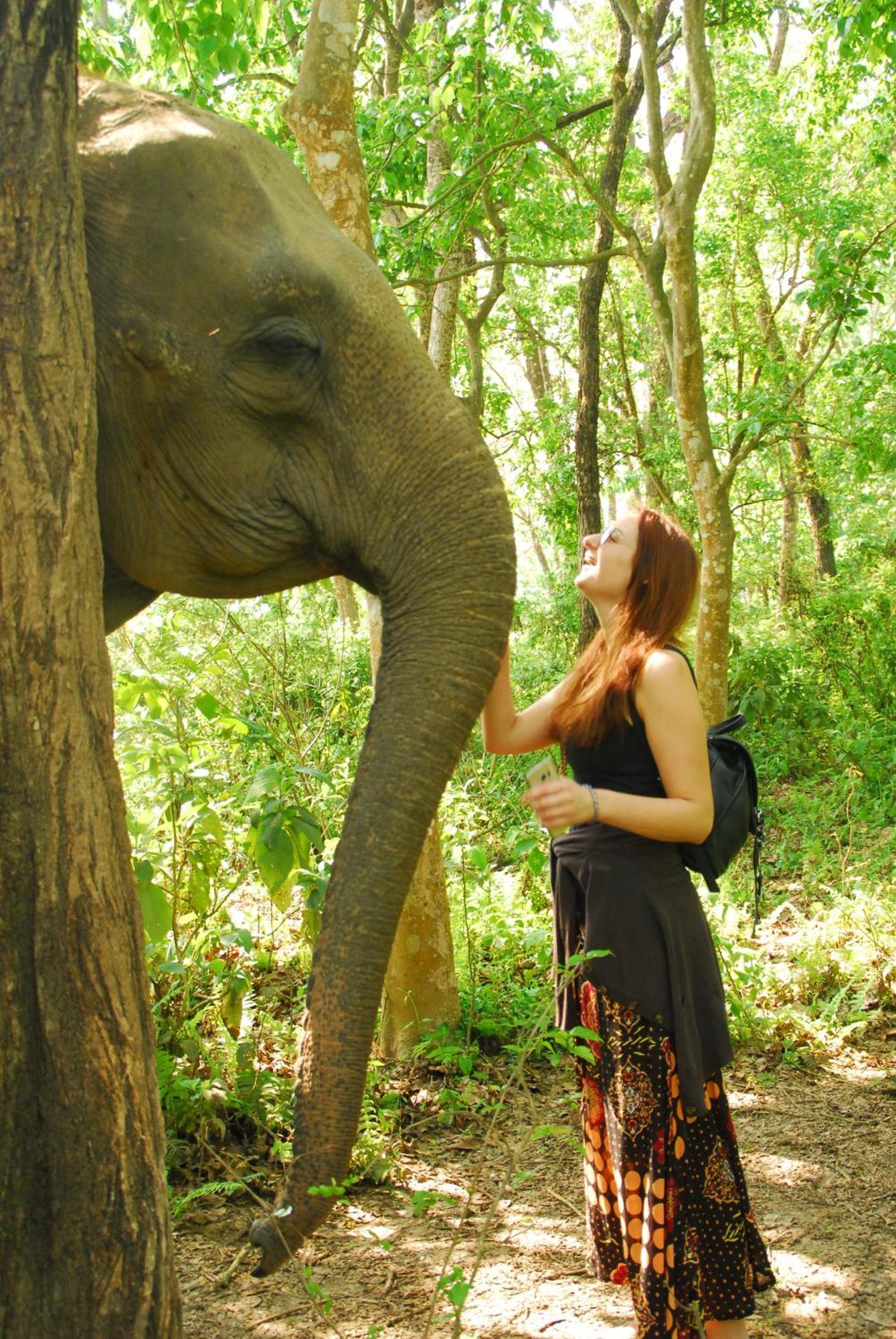 Hotel Garden Of Dreams Sauraha Ngoại thất bức ảnh